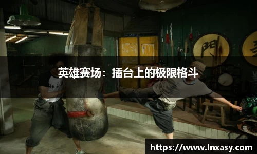 英雄赛场：擂台上的极限格斗